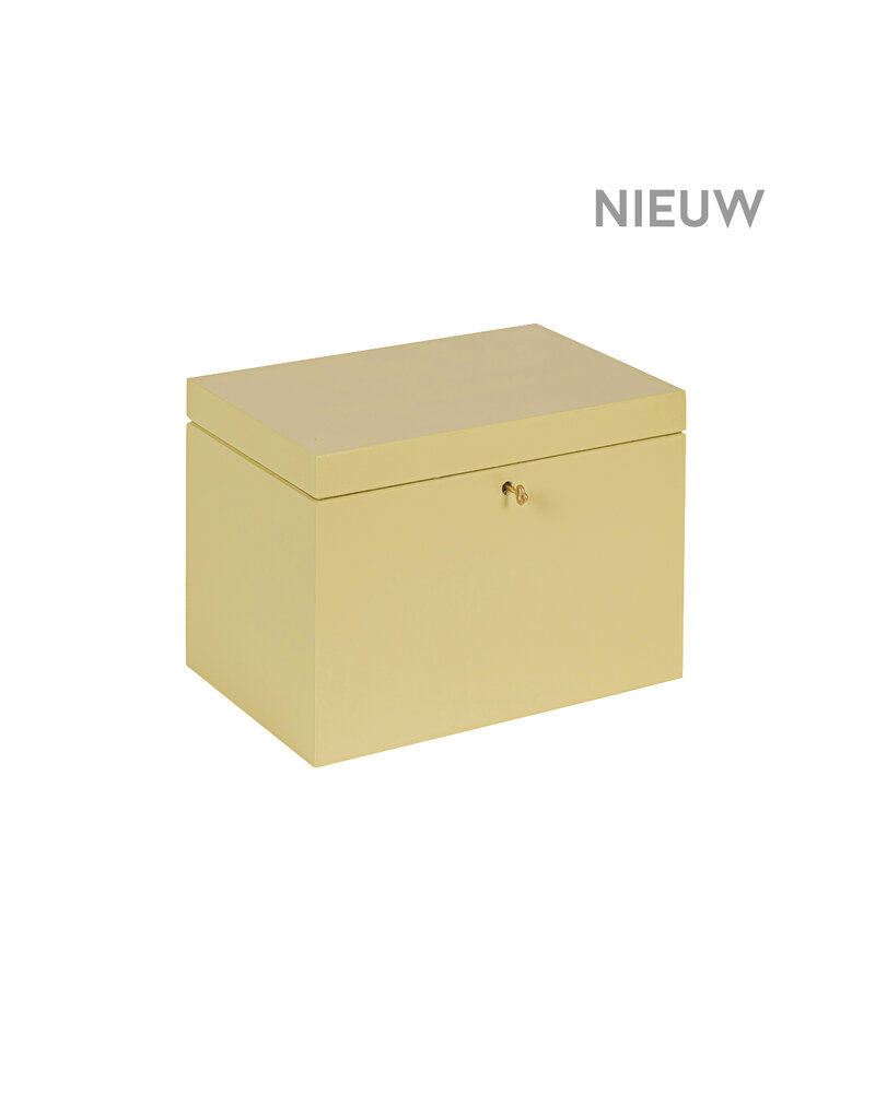 BAS kist Pistache afsluitbaar met koperen sleutel - 30 x 20 x 23 cm