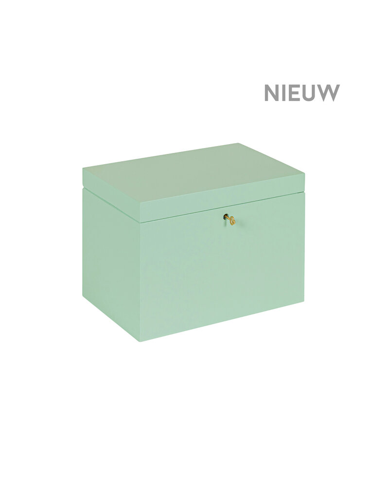 BAS kist Tijm afsluitbaar met koperen sleutel - 30 x 20 x 23 cm