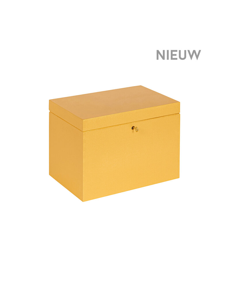 BAS kist Goud afsluitbaar met koperen sleutel - 30 x 20 x 23 cm