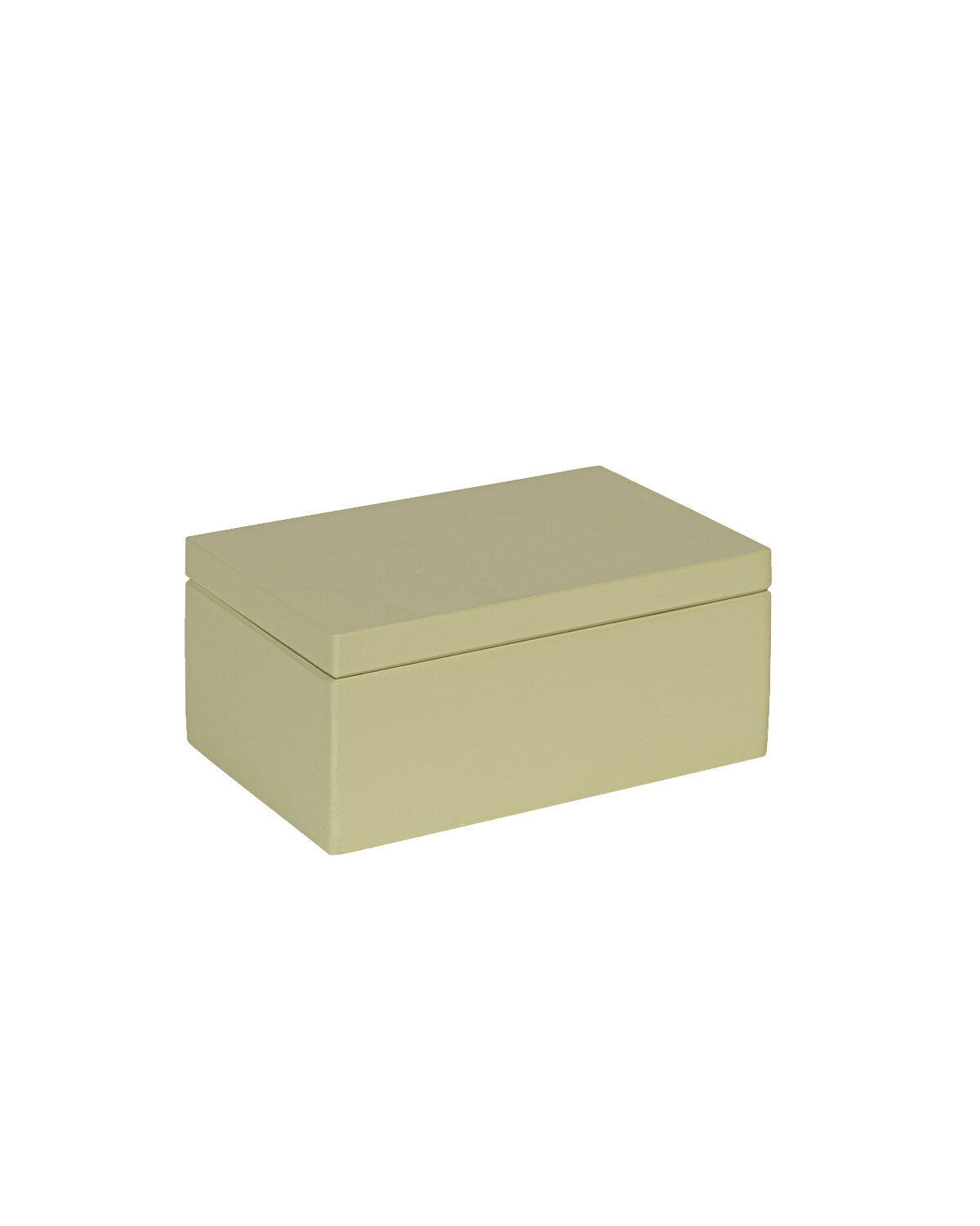 Eva mini houten kistje Pistache met klepdeksel - 30 x 20 x 13 cm