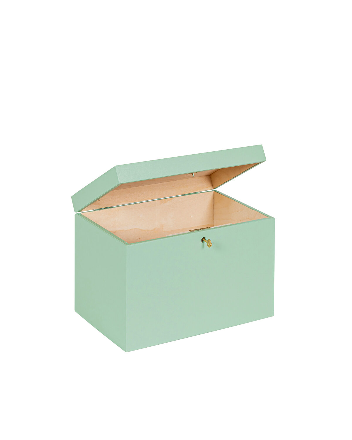 BAS kist Tijm afsluitbaar met koperen sleutel - 30 x 20 x 23 cm