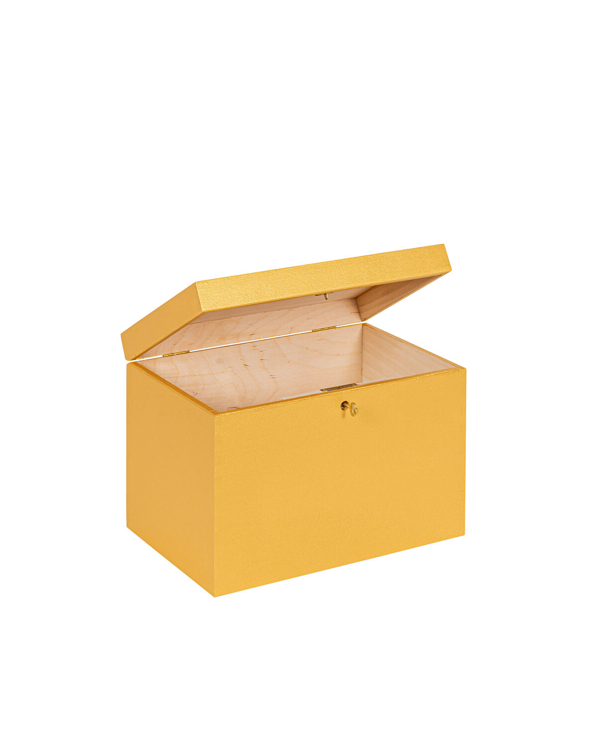 BAS kist Goud afsluitbaar met koperen sleutel - 30 x 20 x 23 cm