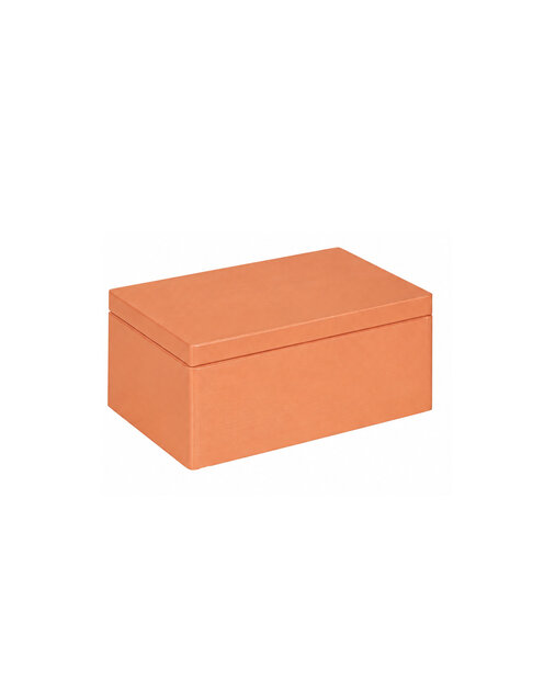 Eva mini houten kistje Zandkleur met klepdeksel - 30 x 20 x 13 cm