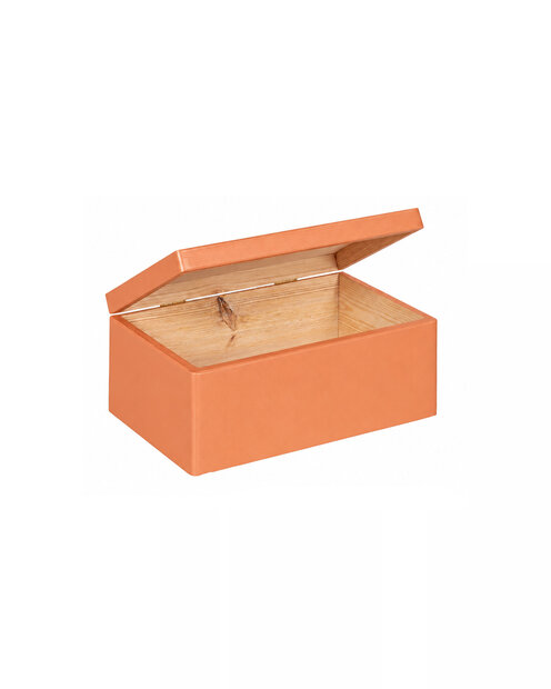Eva mini houten kistje Zandkleur met klepdeksel - 30 x 20 x 13 cm