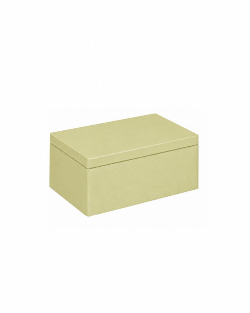 Eva mini houten kistje Pistache met klepdeksel - 30 x 20 x 13 cm