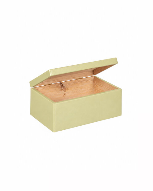 Eva mini houten kistje Pistache met klepdeksel - 30 x 20 x 13 cm